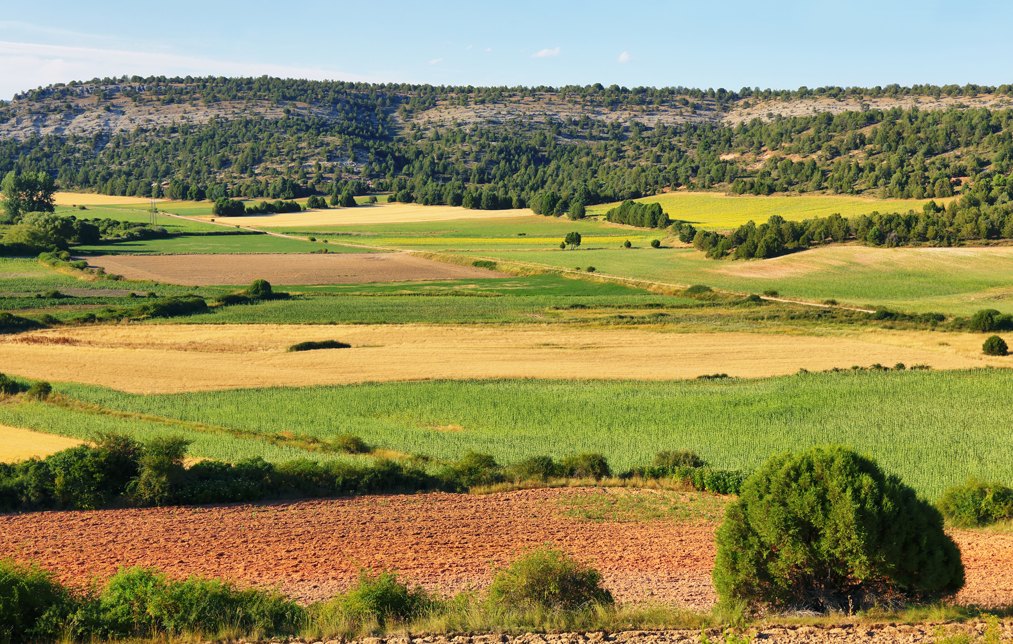 Tursoria naturaleza