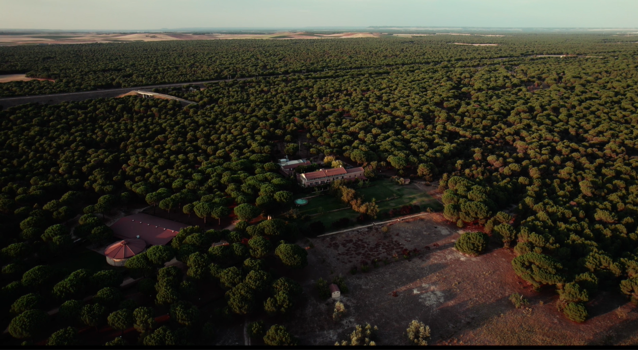 video rutas vino