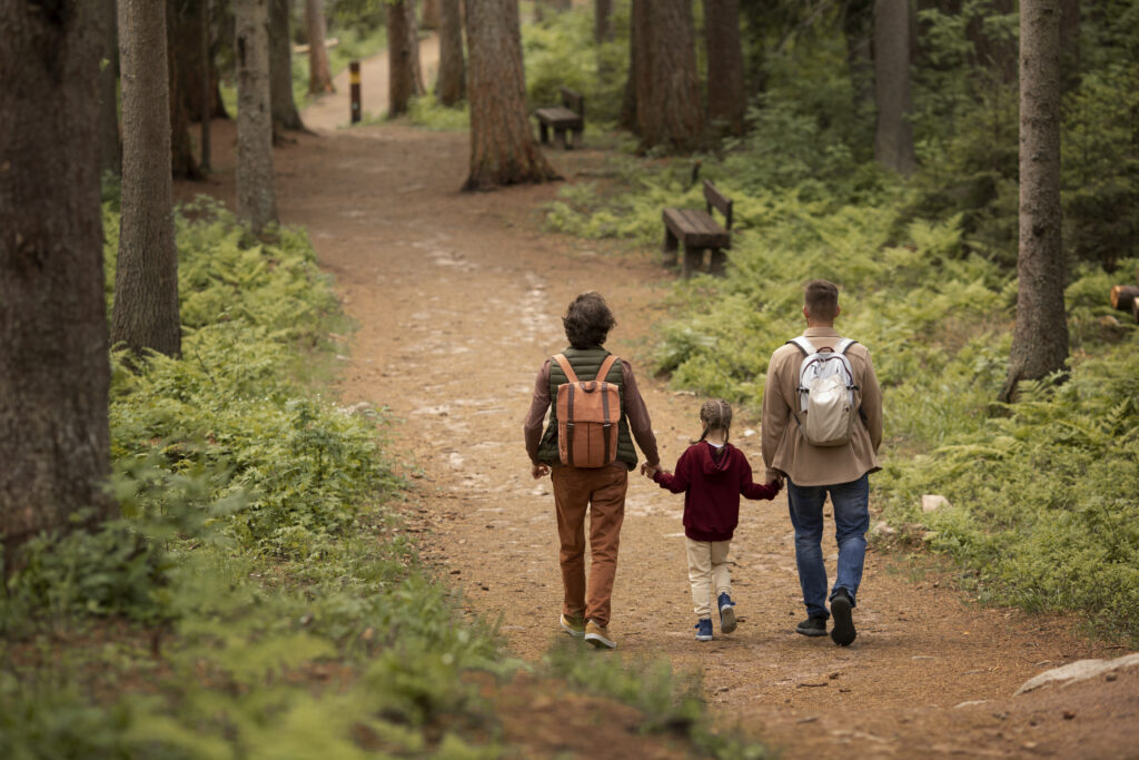 Turismo rural en Soria con niños: ideas, alojamientos y actividades para una escapada familiar