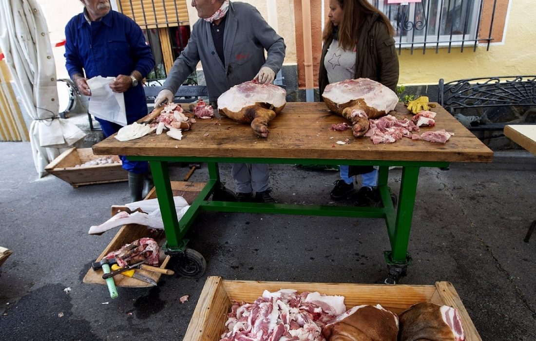 Tursoria. Matanza del cerdo en navaleno