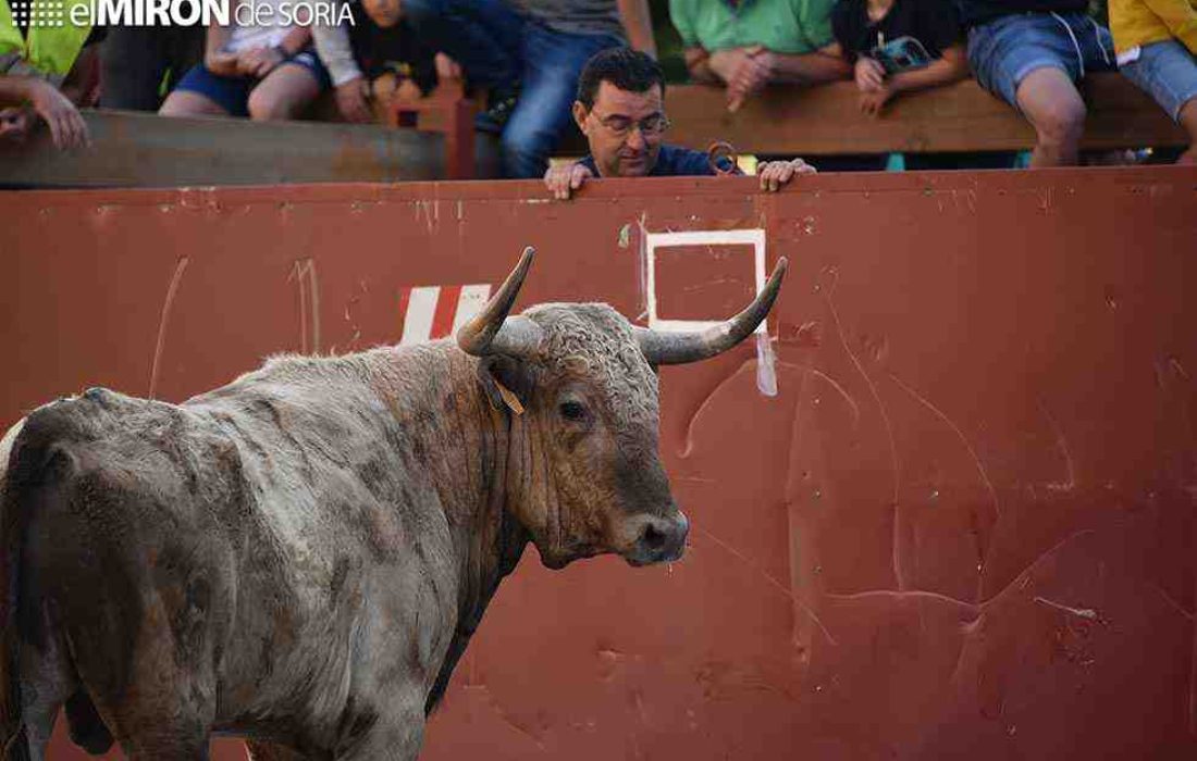105-26encierro