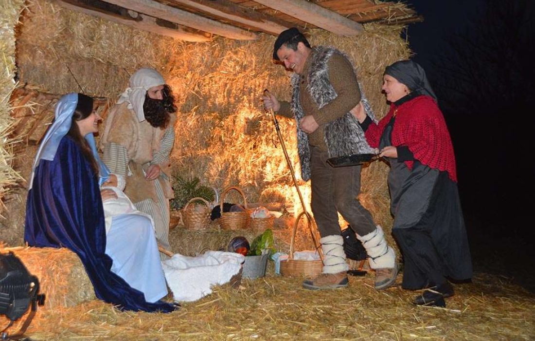 Tursoria belen viviente