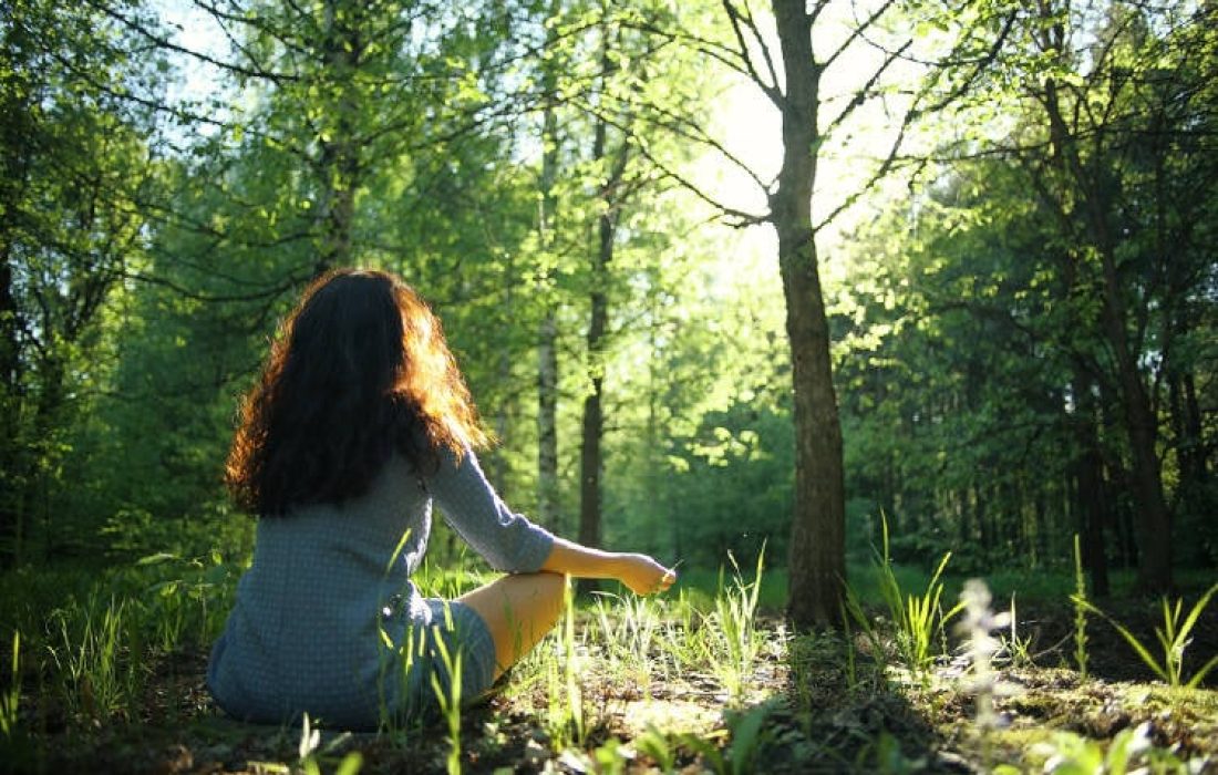 Tursoria baños de bosque