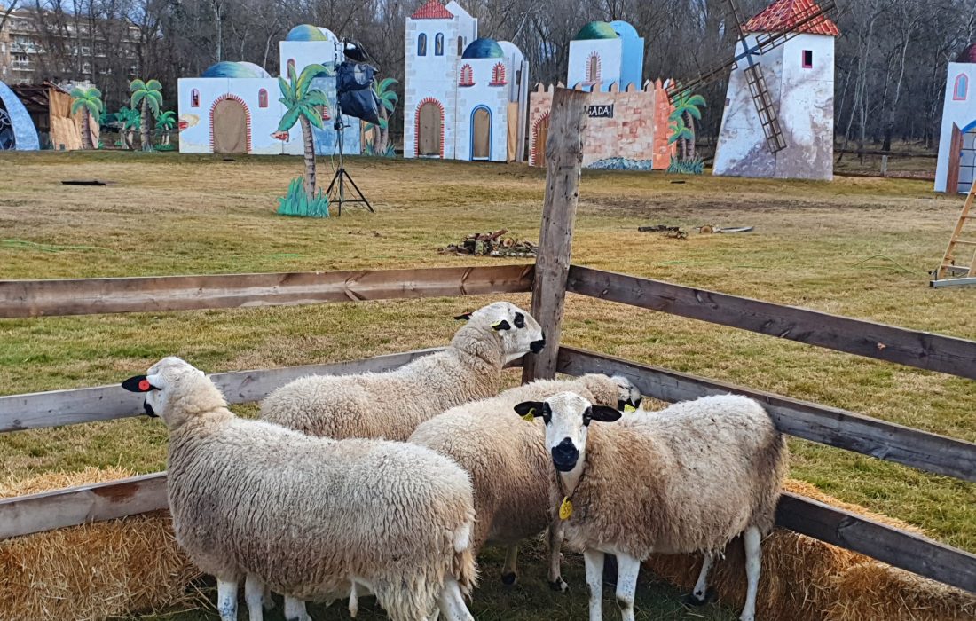 Belen en San Esteban de gormaz. Tursoria