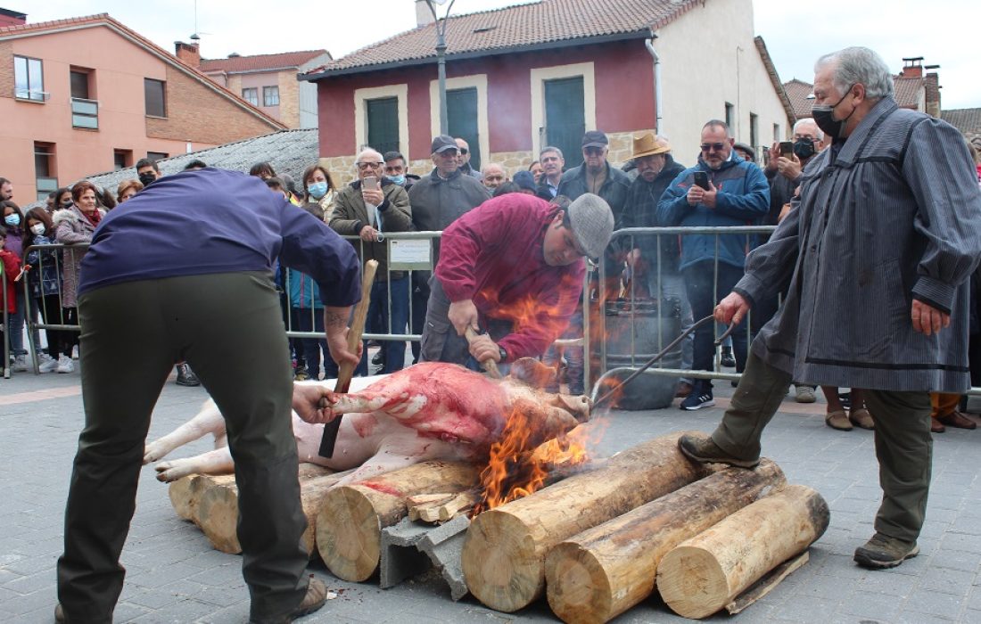 Tursoria. Matanza del cerdo en navaleno