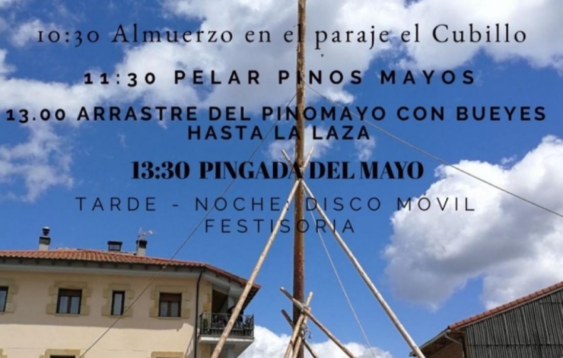 Tursoria la pingada del mayo en Cabrejas del Pinar