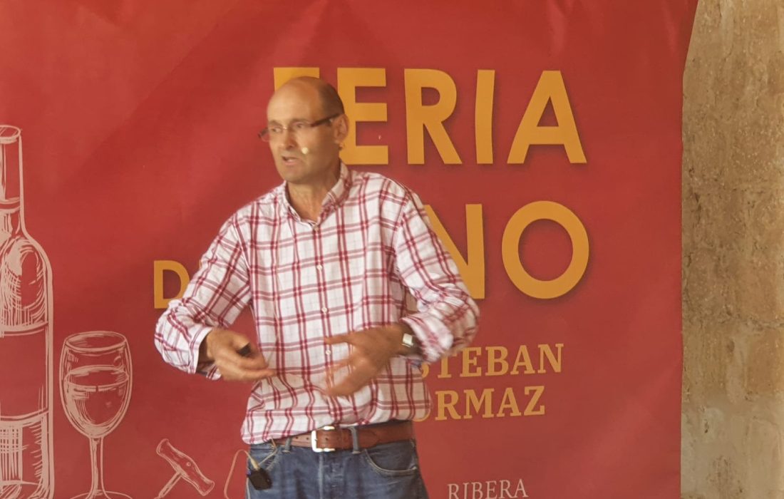 Encuentro con viñas viejas en Soria. Tursoria