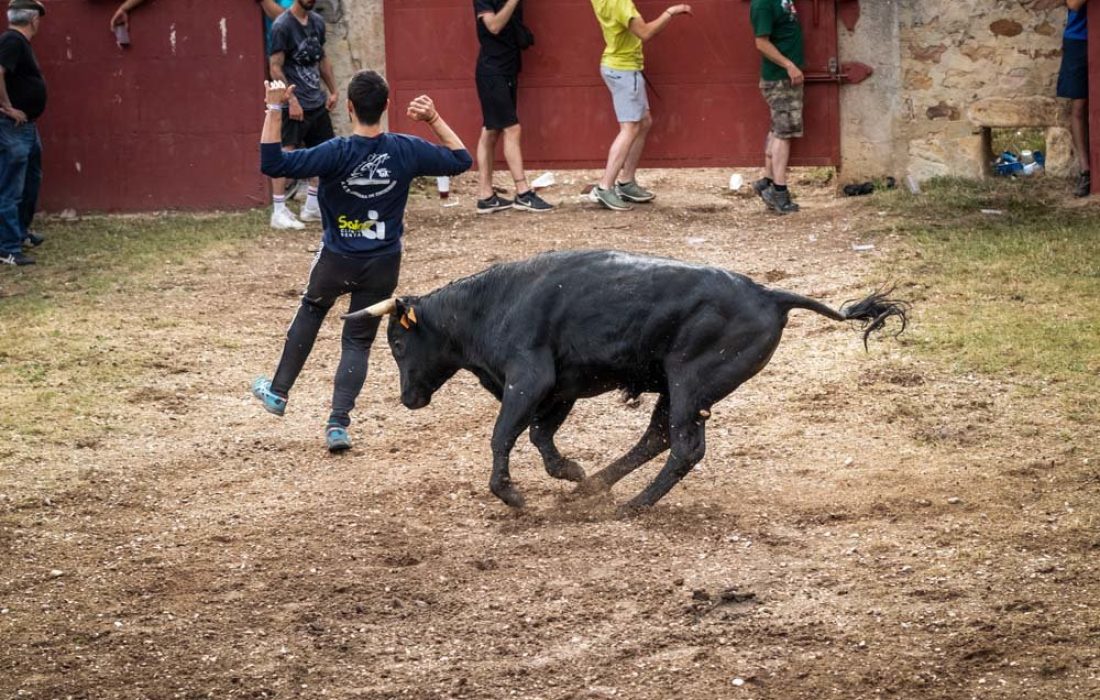 Tursoria el lavalenguas