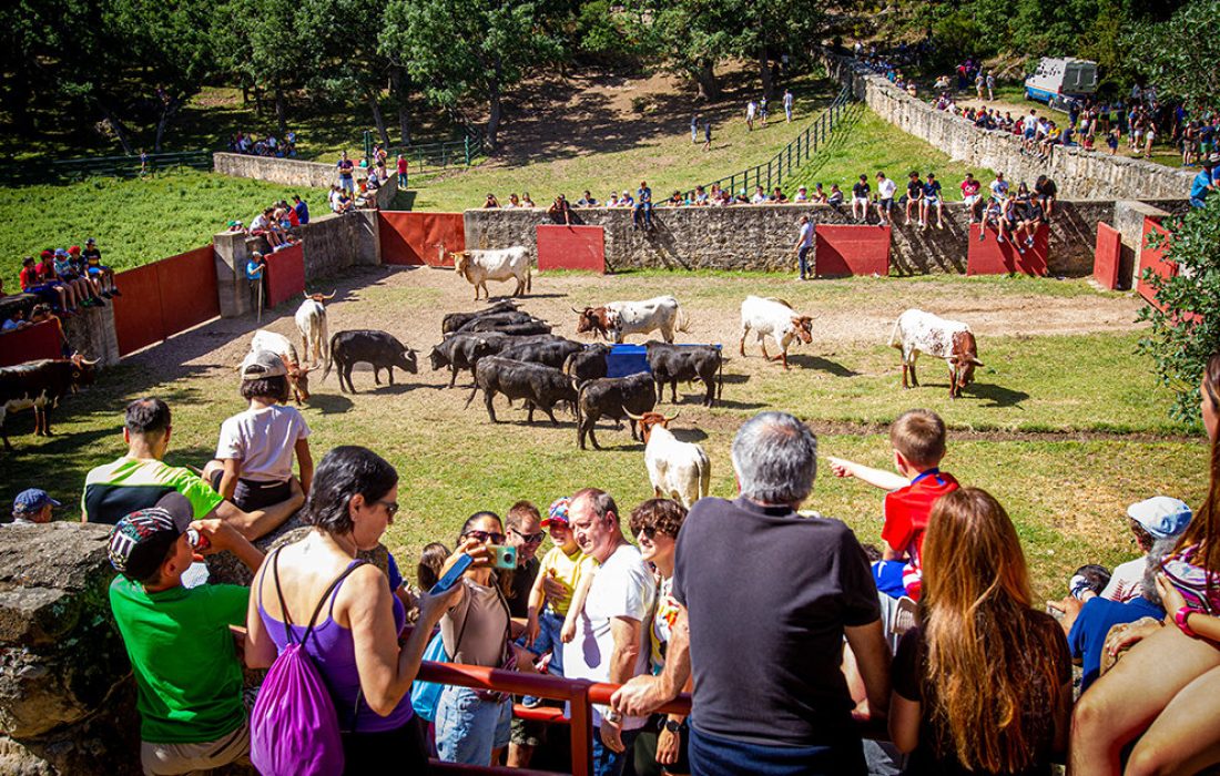 tursoria fiestas de san juan o de la madre de dios
