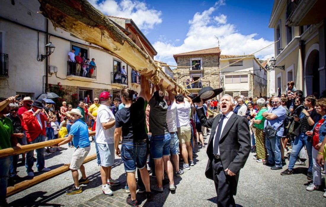 tursoria la pingada del mayo de los quintos