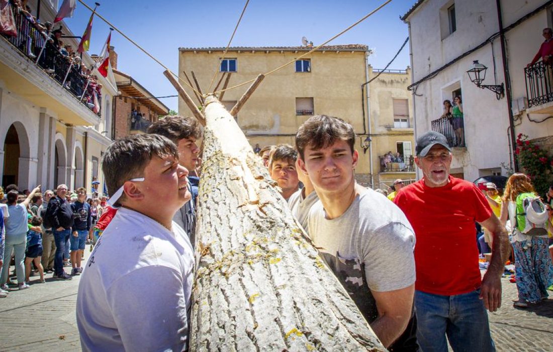 tursoria la pingada del mayo de los quintos