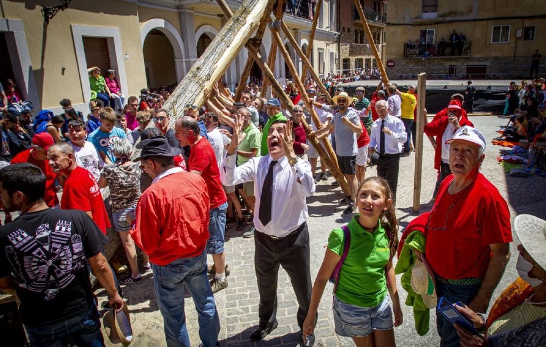 tursoria la pingada del mayo de los Quintos