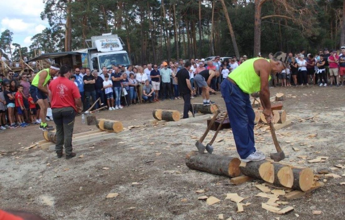 Tursoria feria ganadera en Covaleda