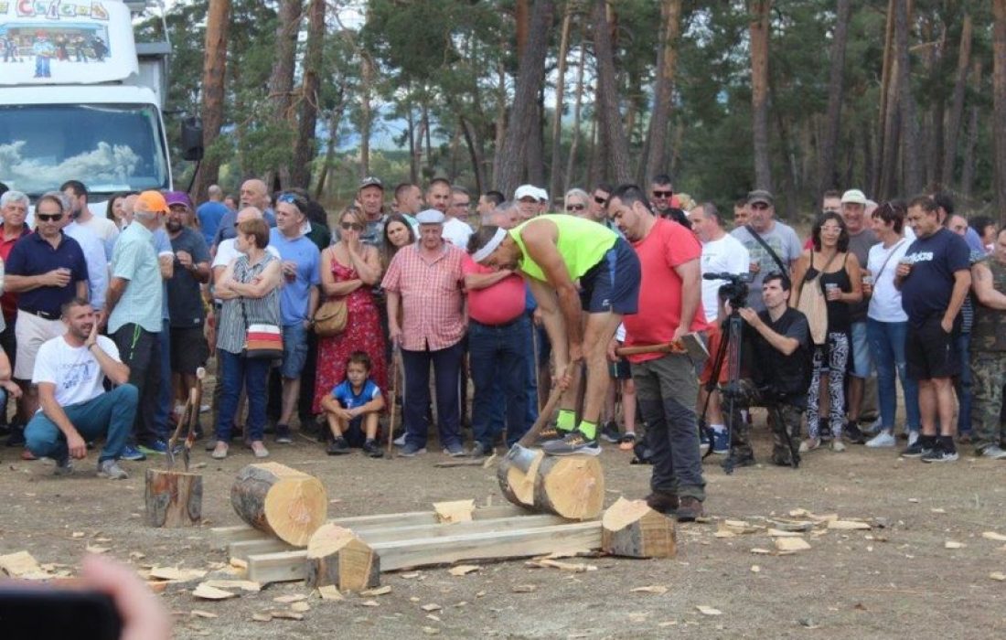 Tursoria feria ganadera en Vinuesa