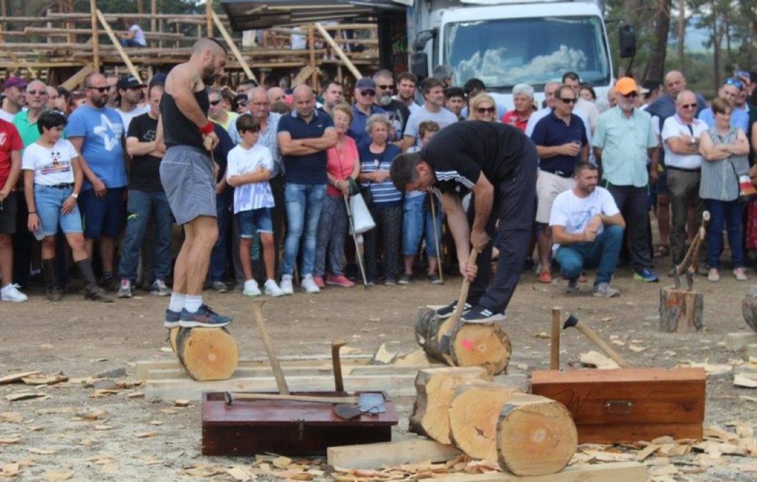 Tursoria feria ganadera en Vinuesa