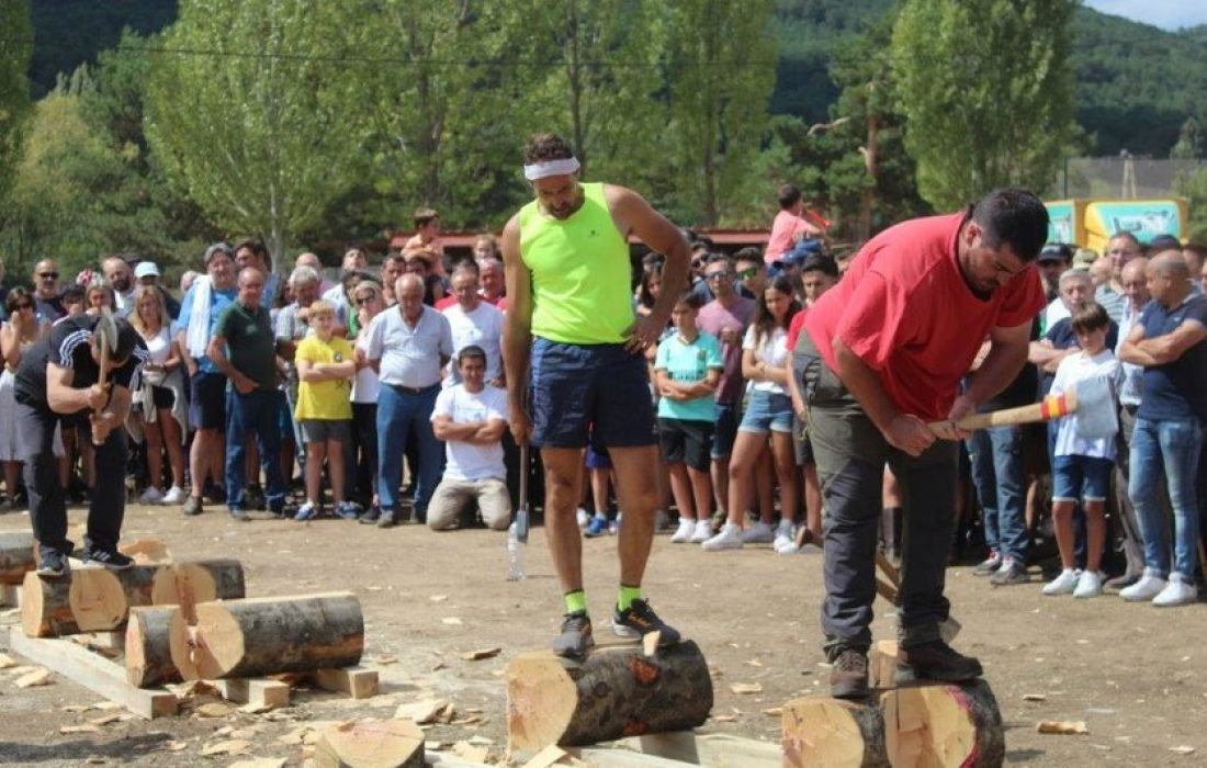 Tursoria feria ganadera en Vinuesa