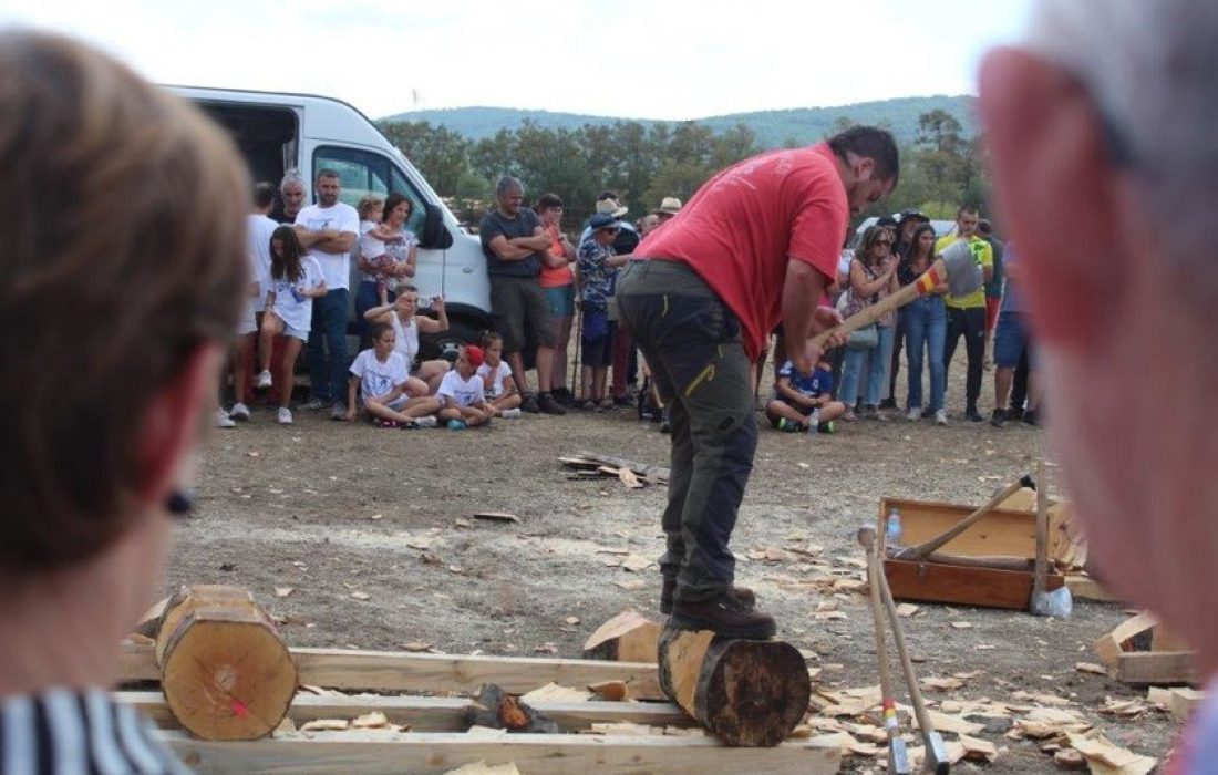 Tursoria feria ganadera en Vinuesa