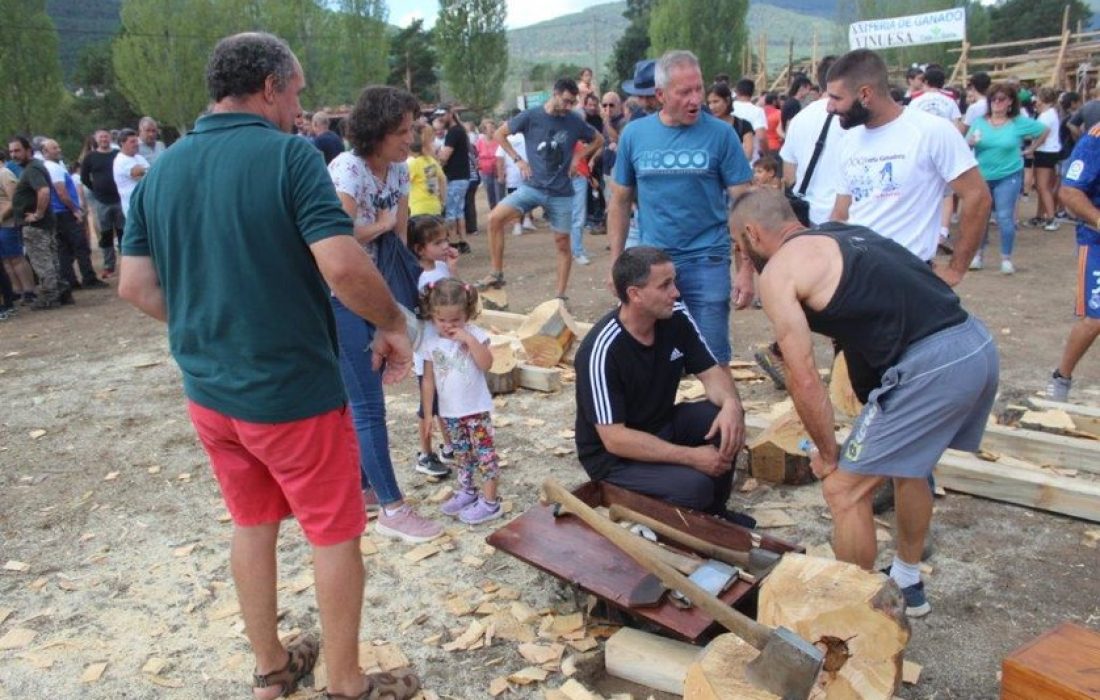 Tursoria feria ganadera en Vinuesa