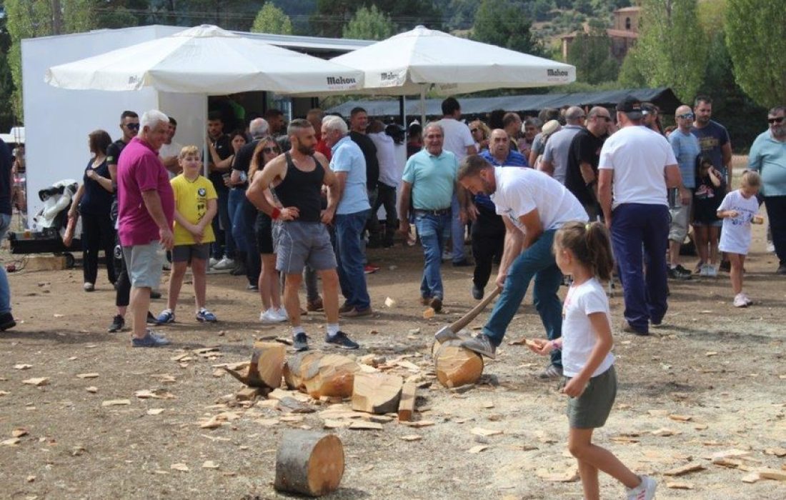 Tursoria feria ganadera en Vinuesa