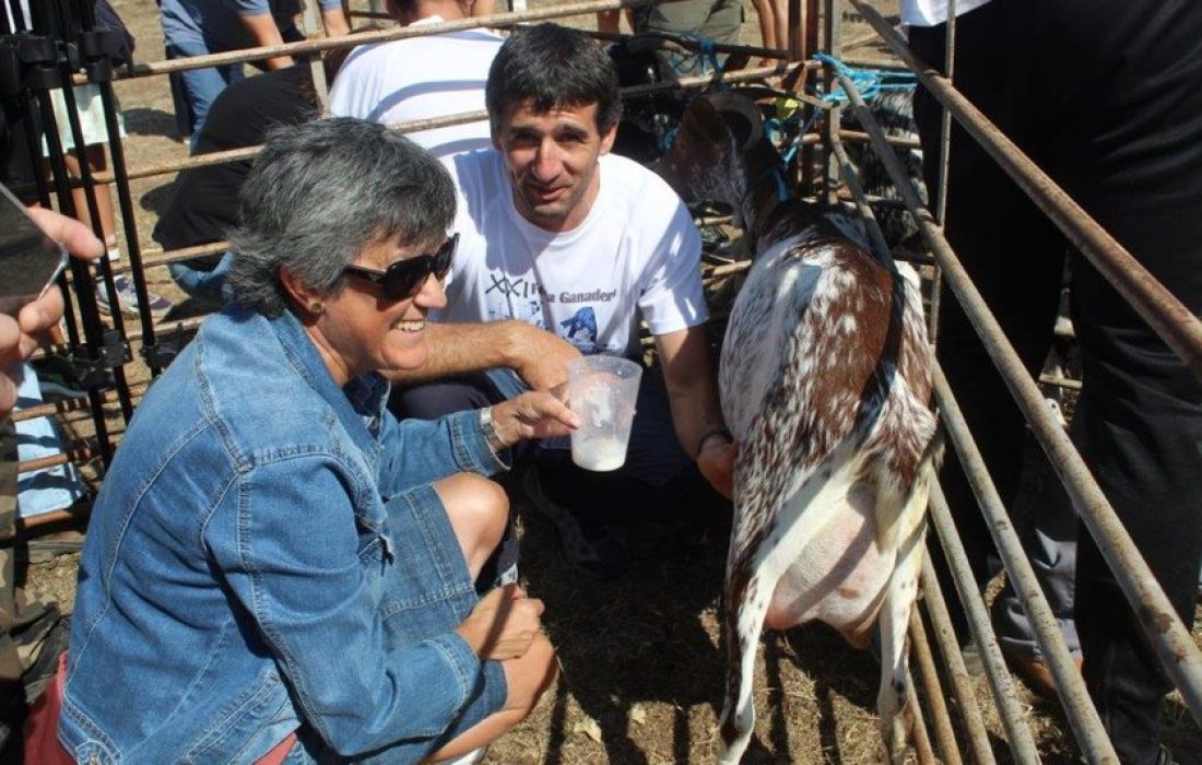 Tursoria feria ganadera en Vinuesa