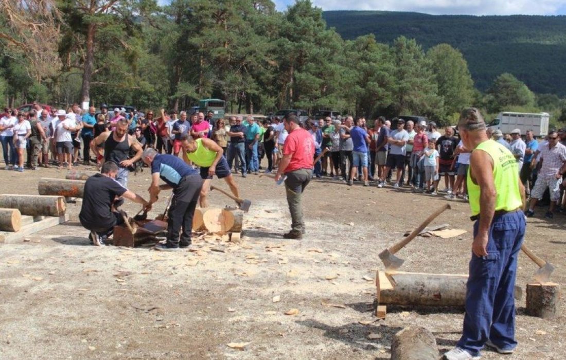 Tursoria feria ganadera en Vinuesa