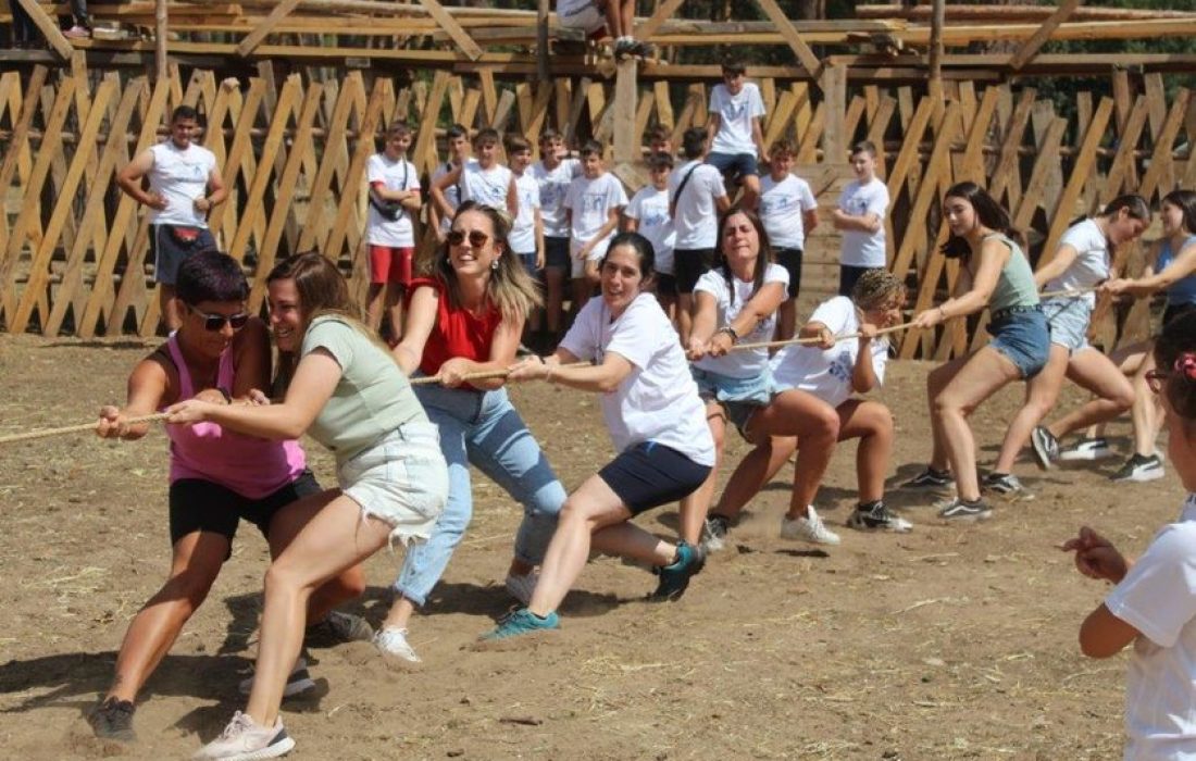 Tursoria feria ganadera en Vinuesa