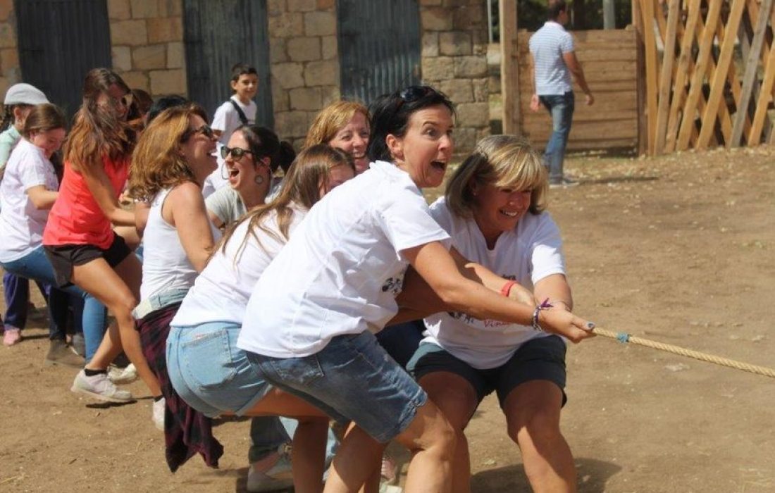 Tursoria feria ganadera en Vinuesa