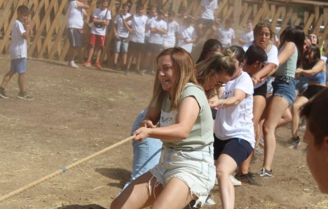 Tursoria feria ganadera en Vinuesa