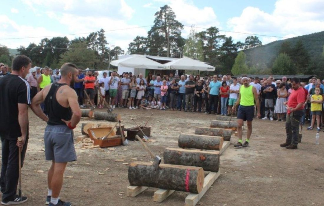 Tursoria feria ganadera en Vinuesa