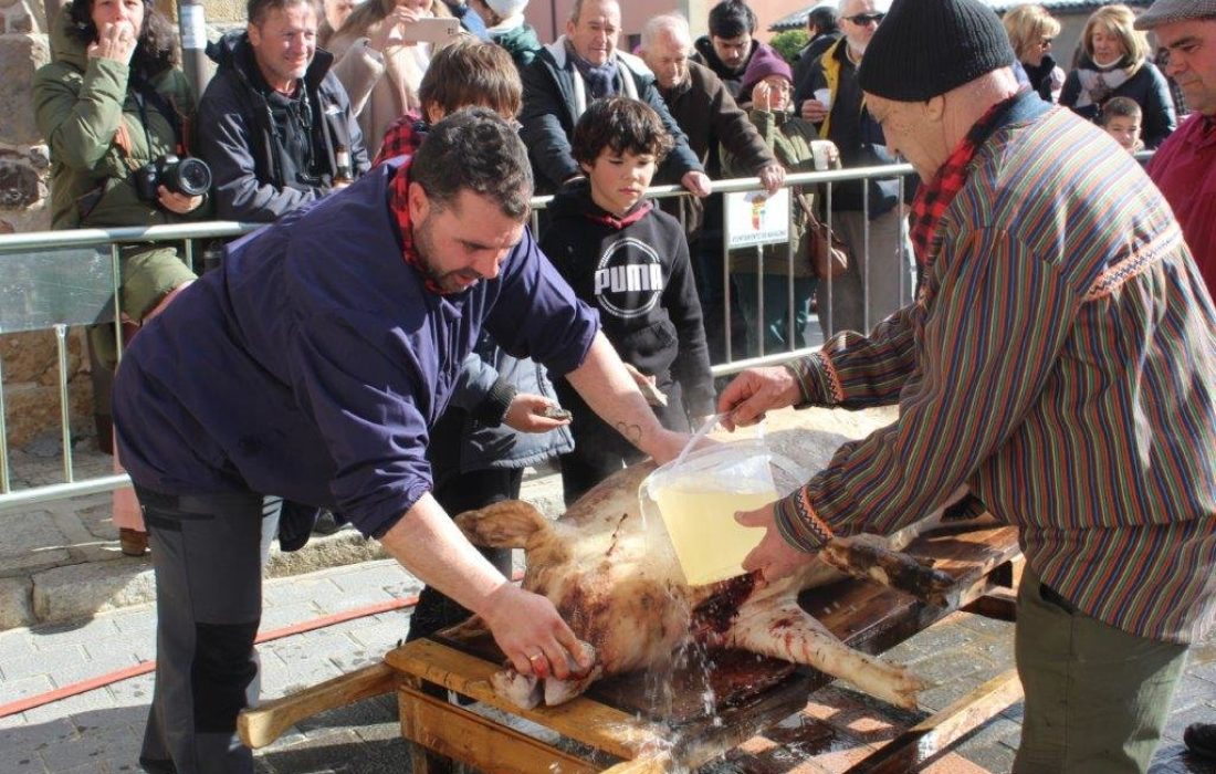 Tursoria. Matanza del cerdo en navaleno