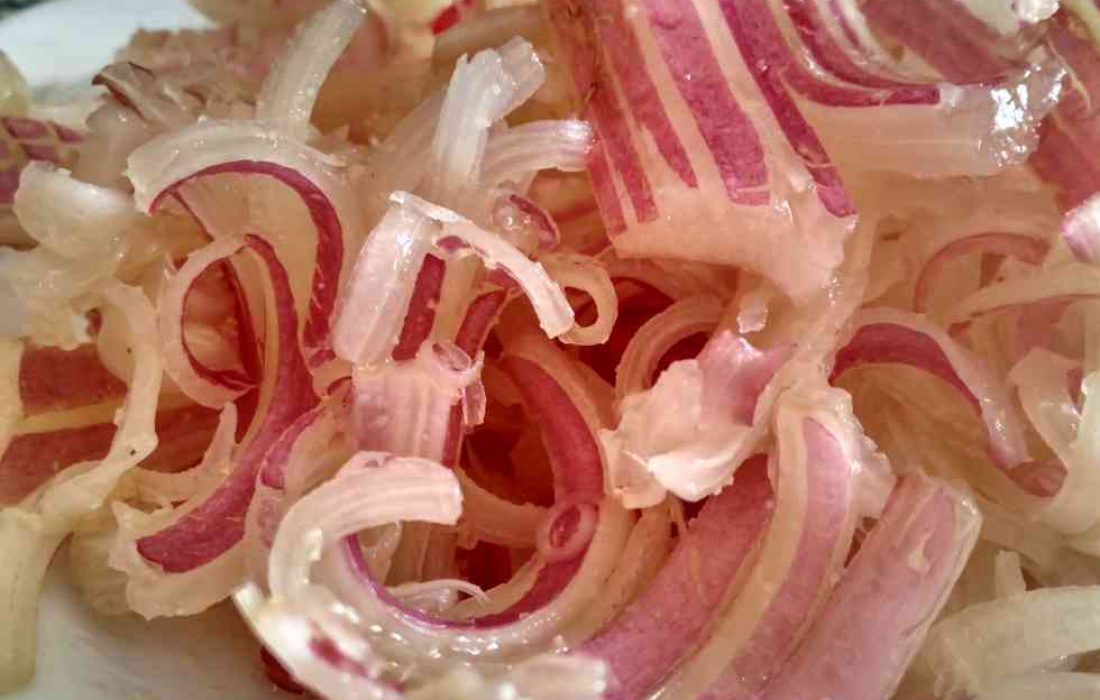 Tursoria tapa cardo