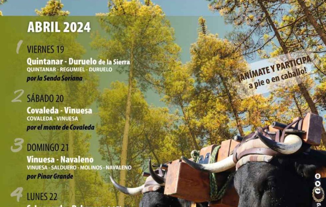 Ruta carreteril Tursoria
