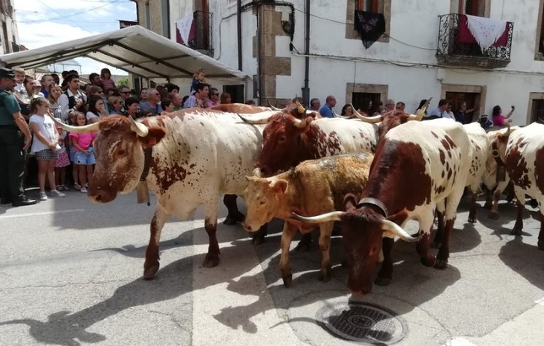Tursoria el mercado tradicional