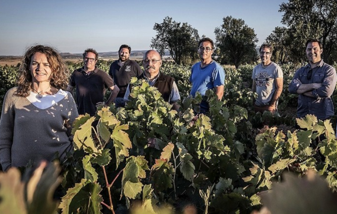 Encuentro con viñas viejas en Soria. Tursoria