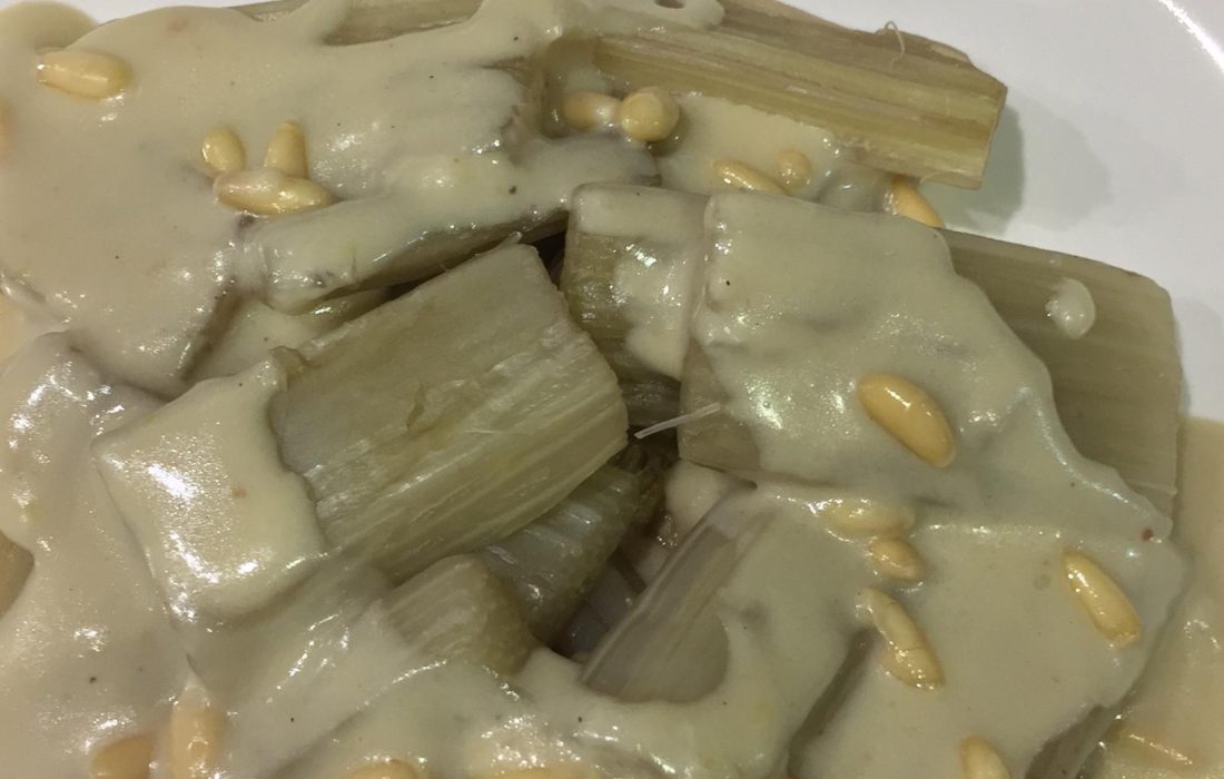 Tursoria tapa cardo
