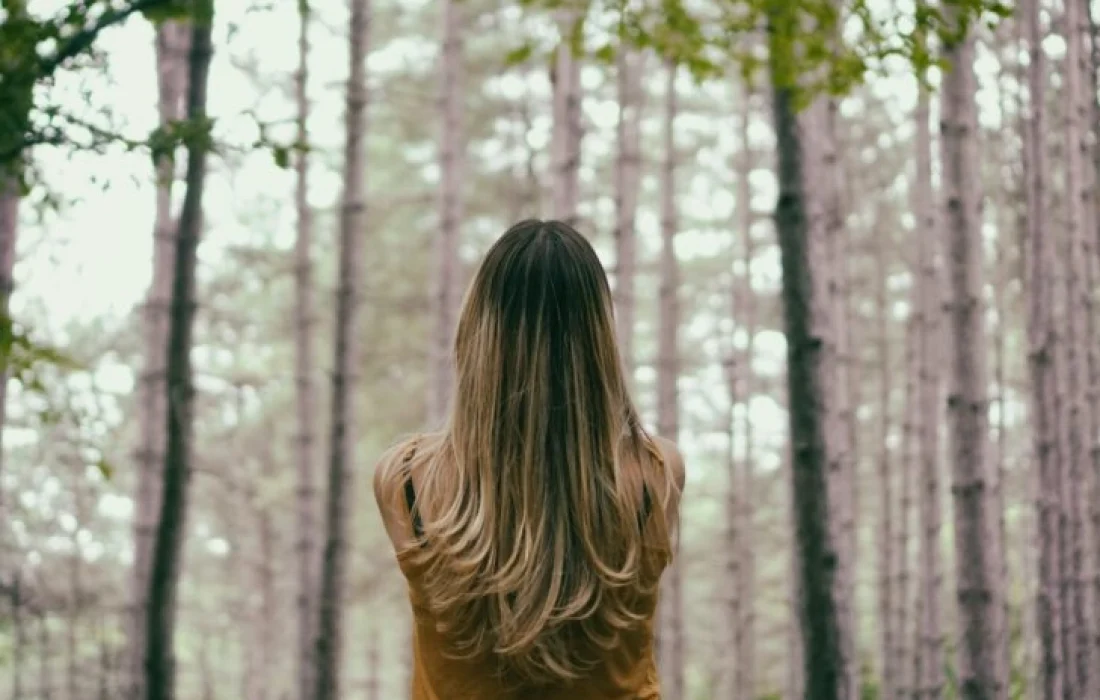 Tursoria baños de bosque