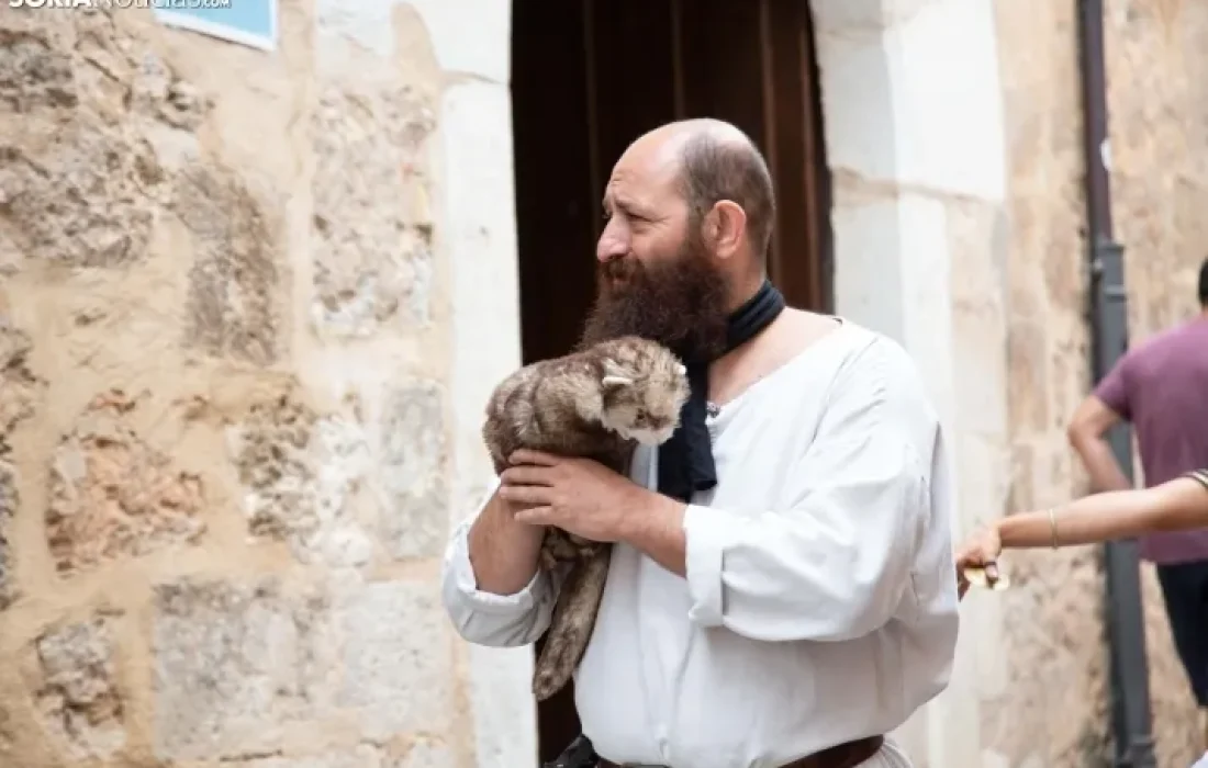 Tursoria el mercado medieval de Berlanga de Duero
