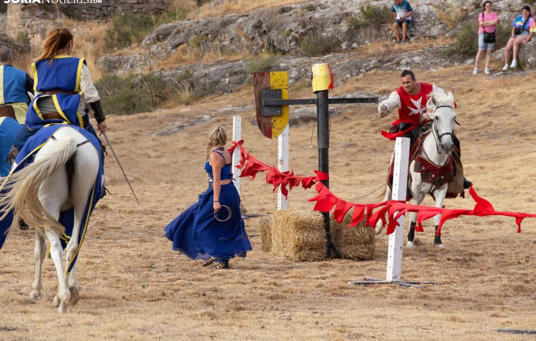 Tursoria el mercado medieval de Berlanga de Duero