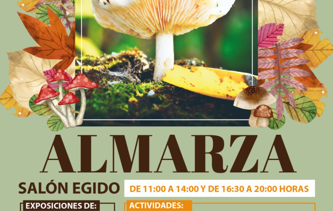 CARTEL_ALMARZA-800x1125