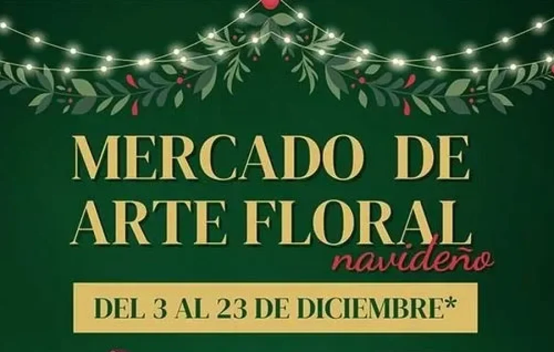 Tursoria mercado Soria