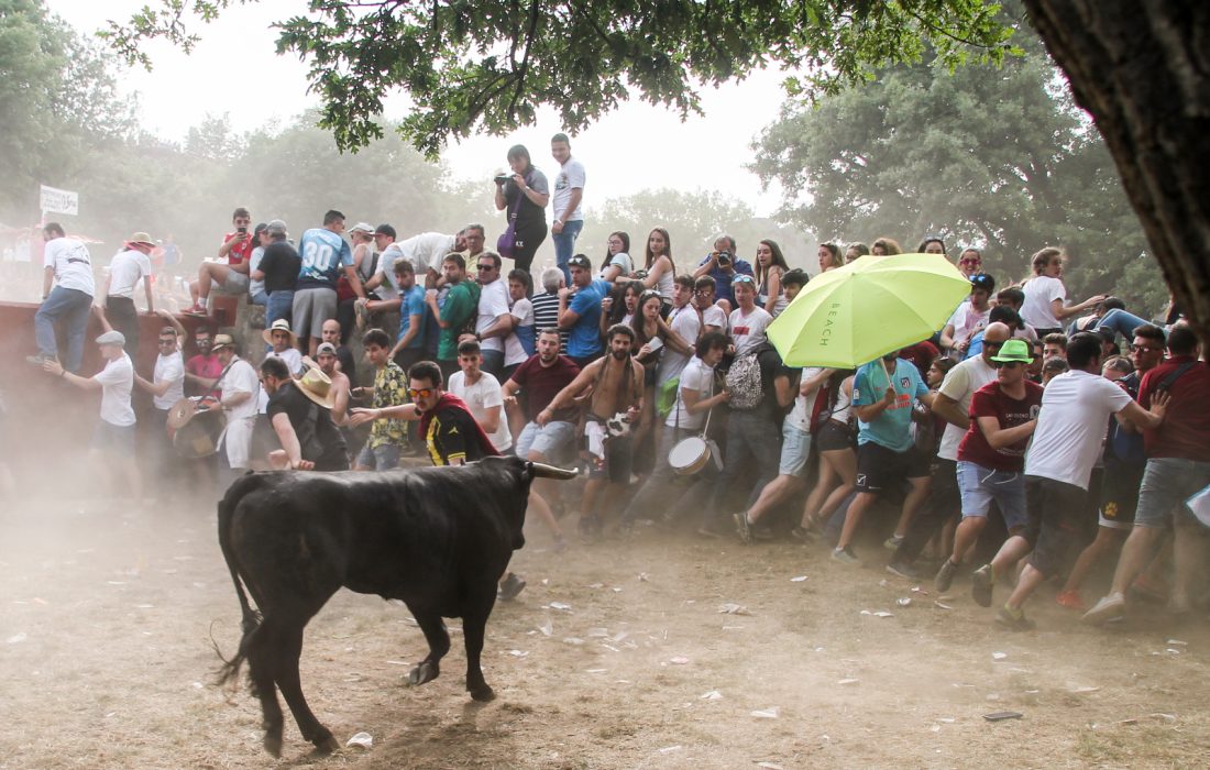 tursoria fiesta de la compra