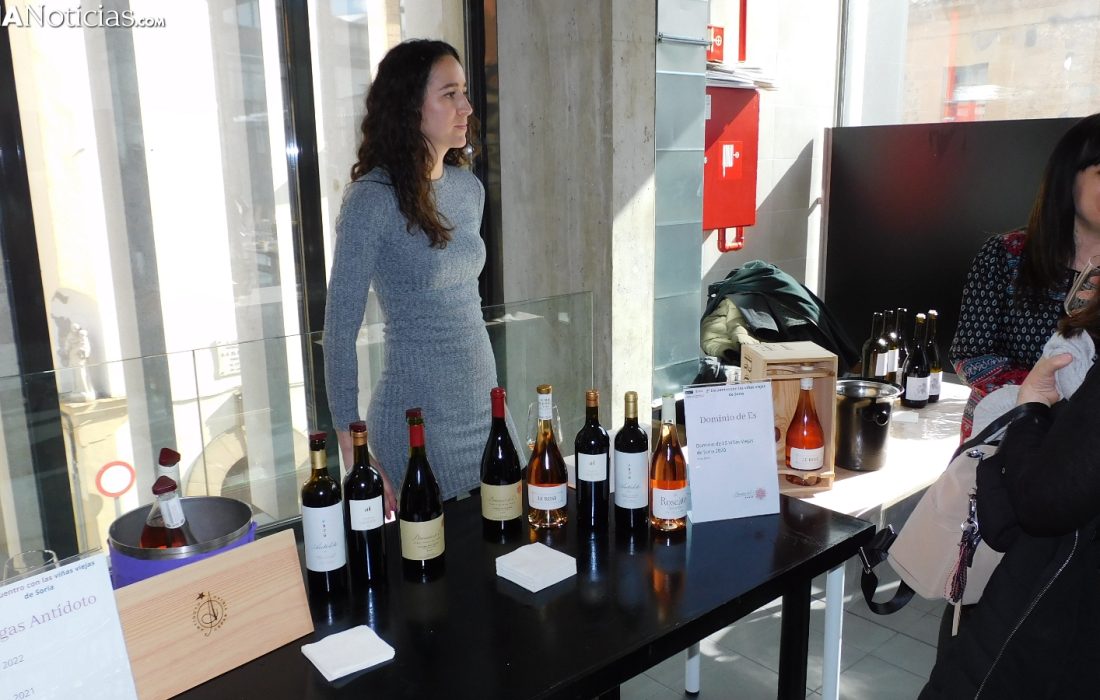 Encuentro con viñas viejas en Soria. Tursoria