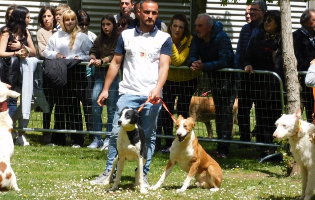 Tursoria feria de mascotas