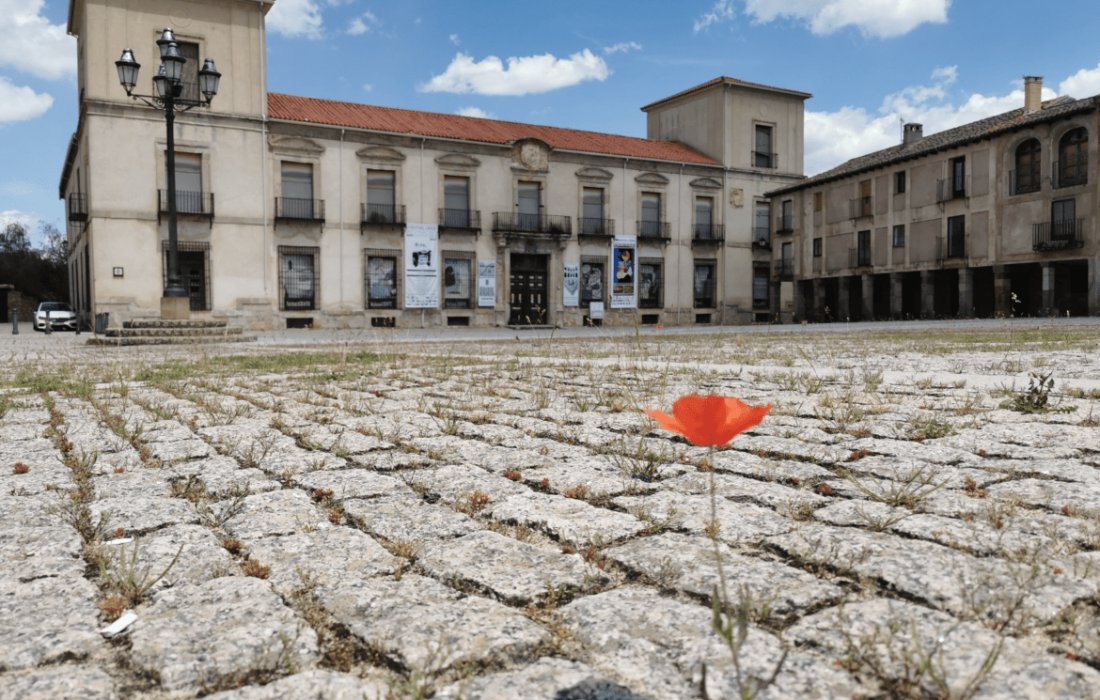 Tursoria. Festival de cine