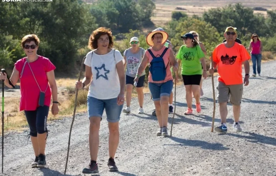 Tursoria. La trashumancia en gallinero
