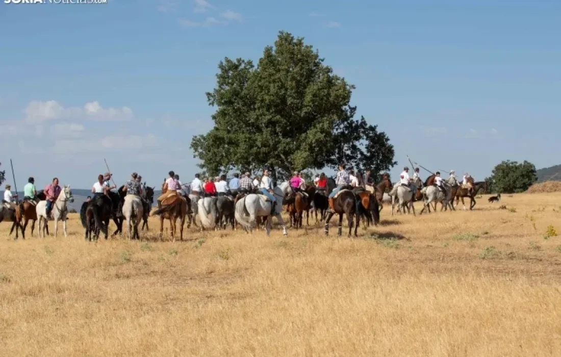 Tursoria. La trashumancia en gallinero