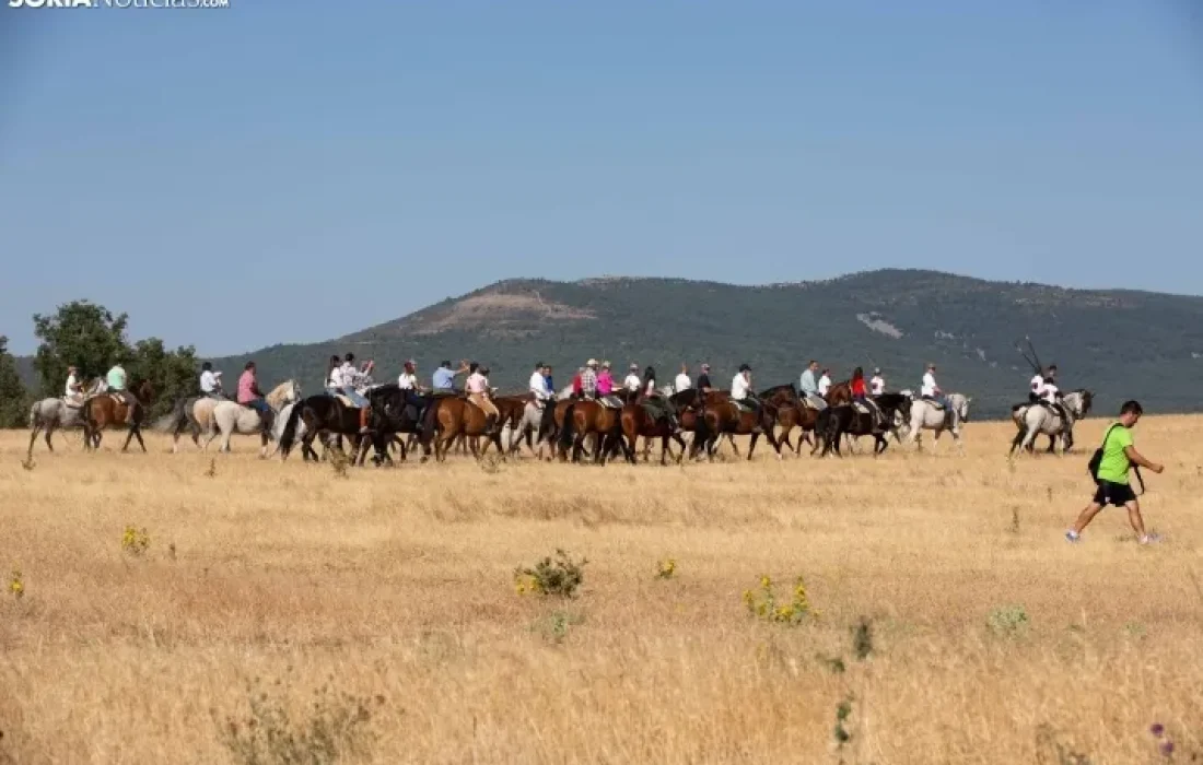 Tursoria. La trashumancia en gallinero