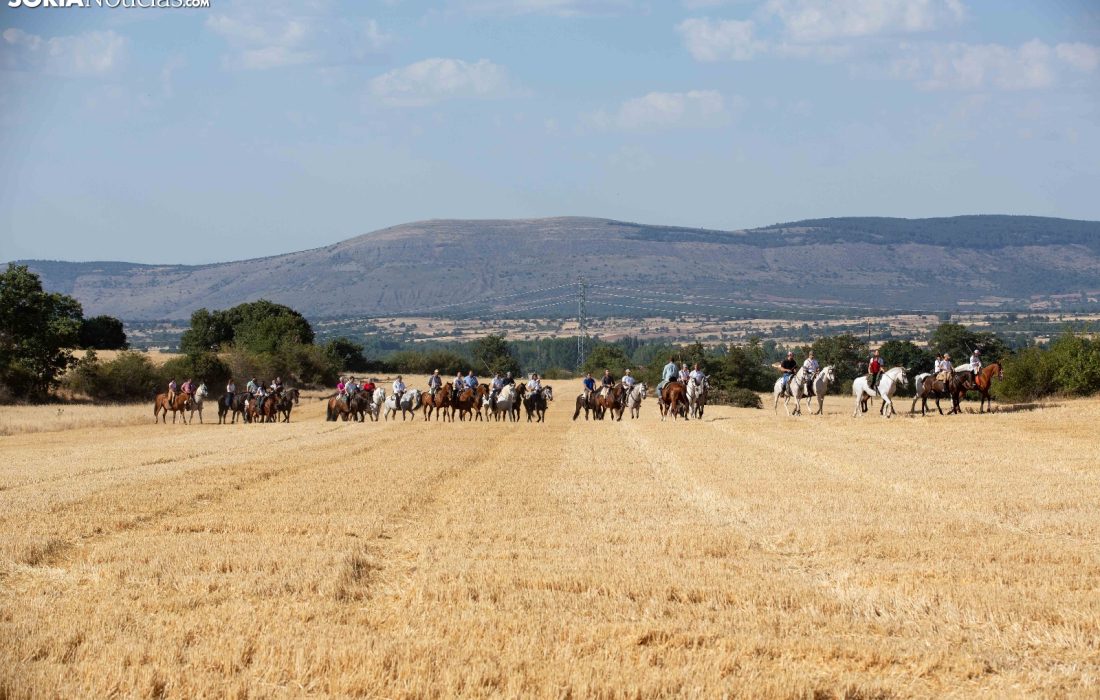 Tursoria. La trashumancia en gallinero
