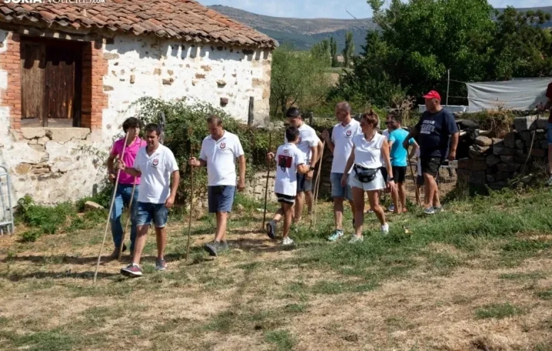 Tursoria. La trashumancia en gallinero