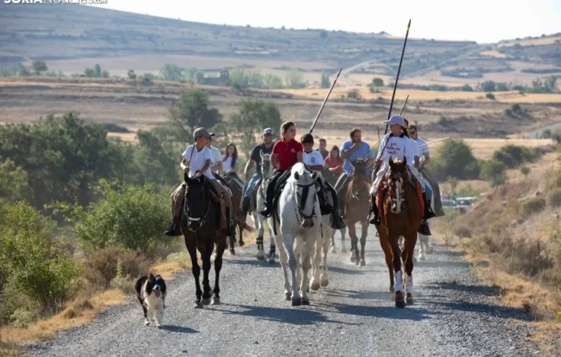 Tursoria. La trashumancia en gallinero
